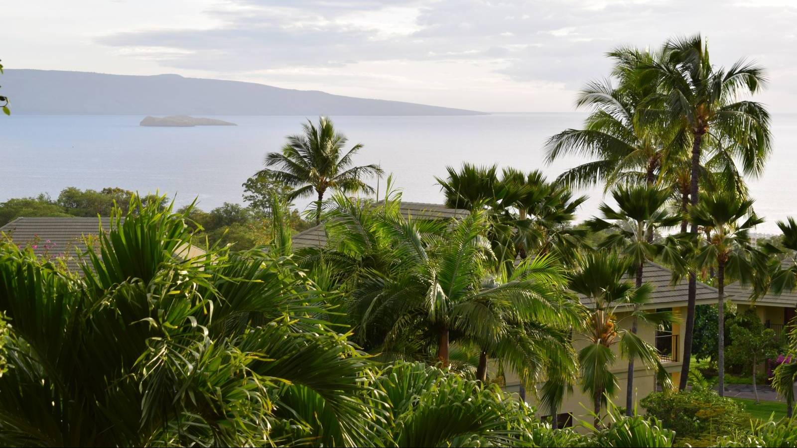 5 Tips to Avoid "Buyer Fatigue" in Maui's Competitive Real Estate