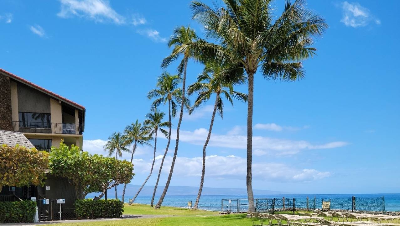 Papakea is a Great Choice for a Maui Oceanfront Condo Hawaii Real