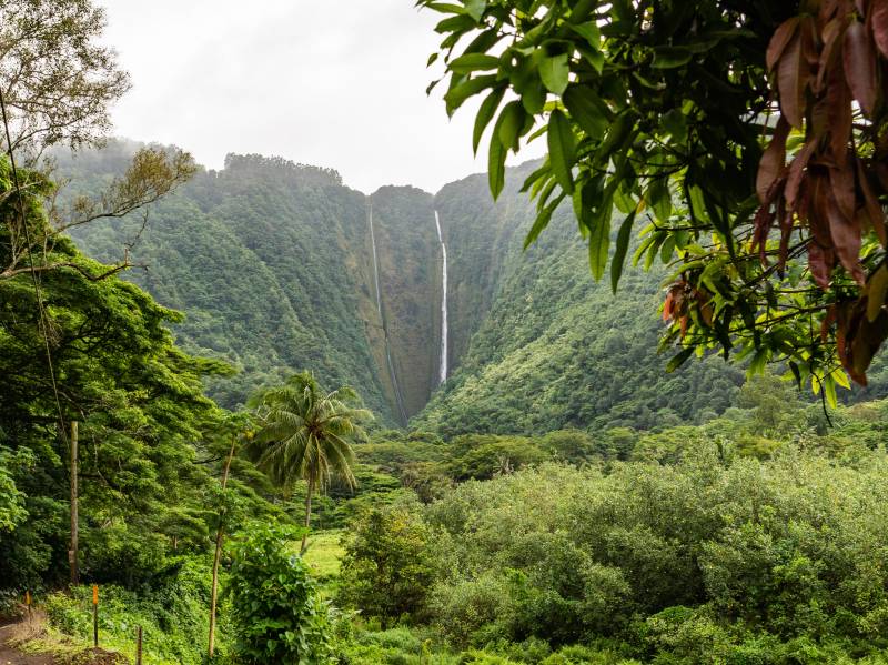 waterfall and tropical rainforest in hawaii