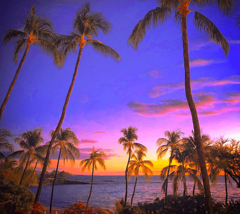 sunset behind palm trees at mauna kea resort