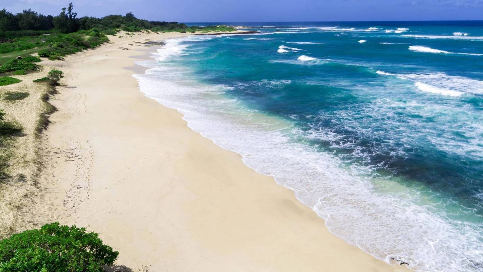 Beachfront North Shore Oahu Concierge Auctions Bidding Begins July 14