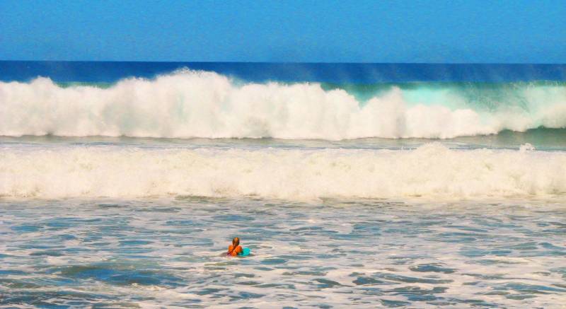 big waves in west maui