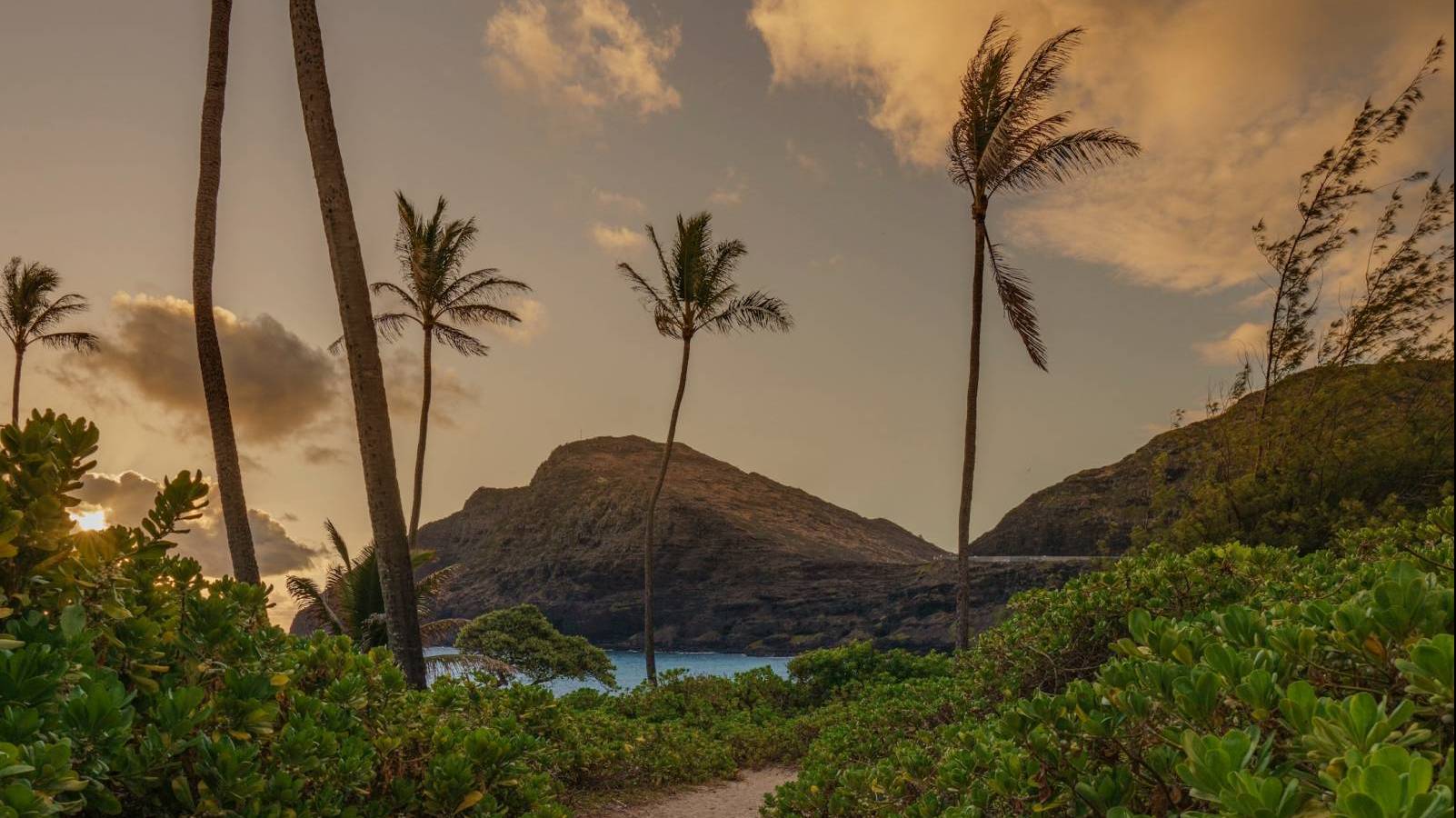 Will Home Prices Stabilize? - Hawaii Real Estate Market & Trends ...