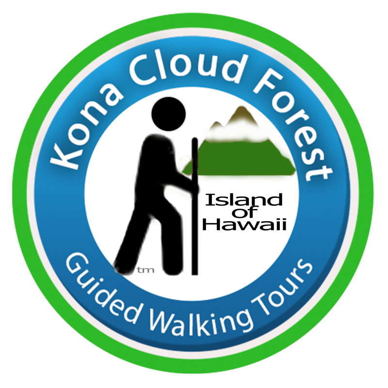kona cloud forest guided walking tours