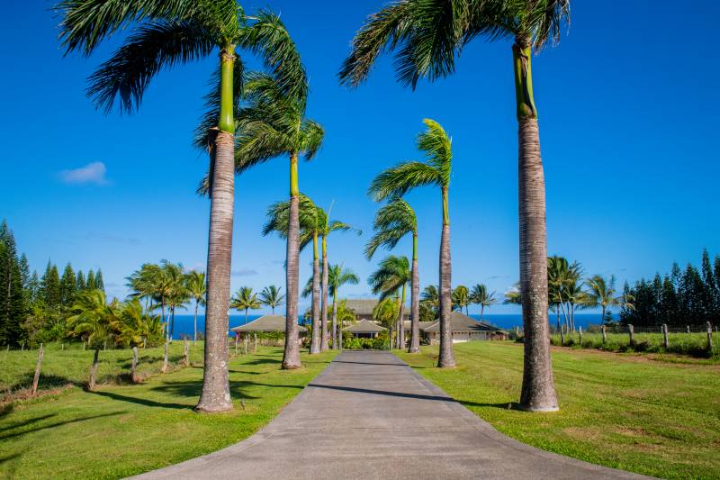 driveway to maui oceanfront estate