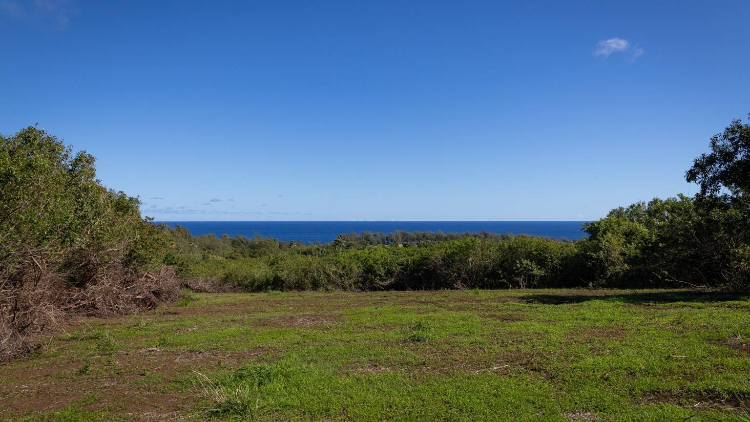 New Listing North Kohala Vacant Ag Land For Sale Hawaii Real Estate