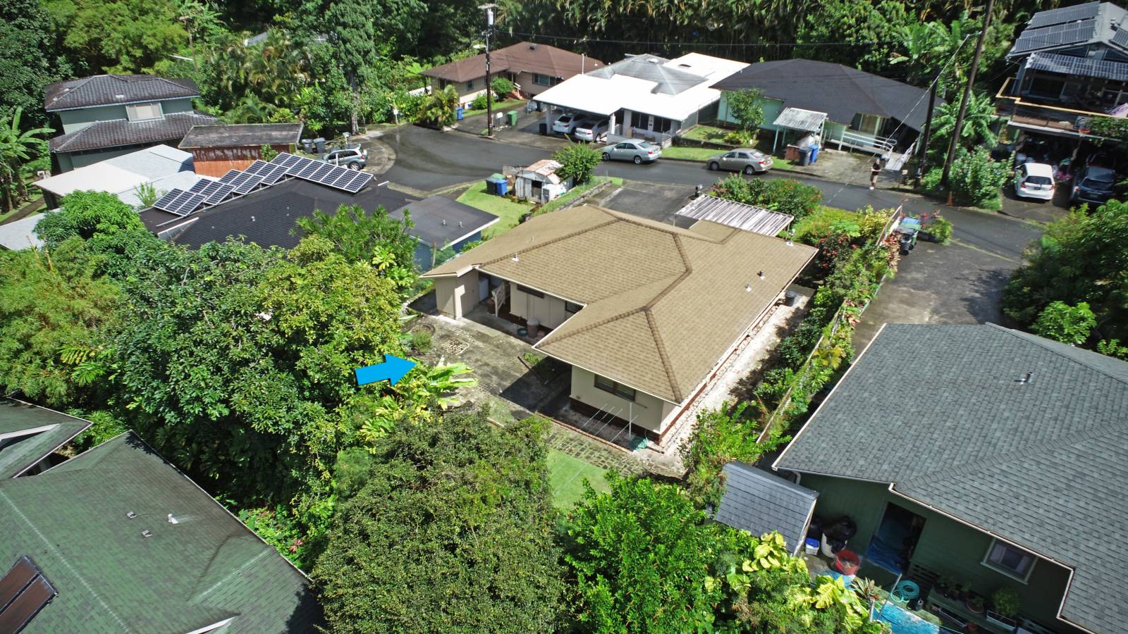 Just Listed in Palolo Valley Hawaii Real Estate Market & Trends