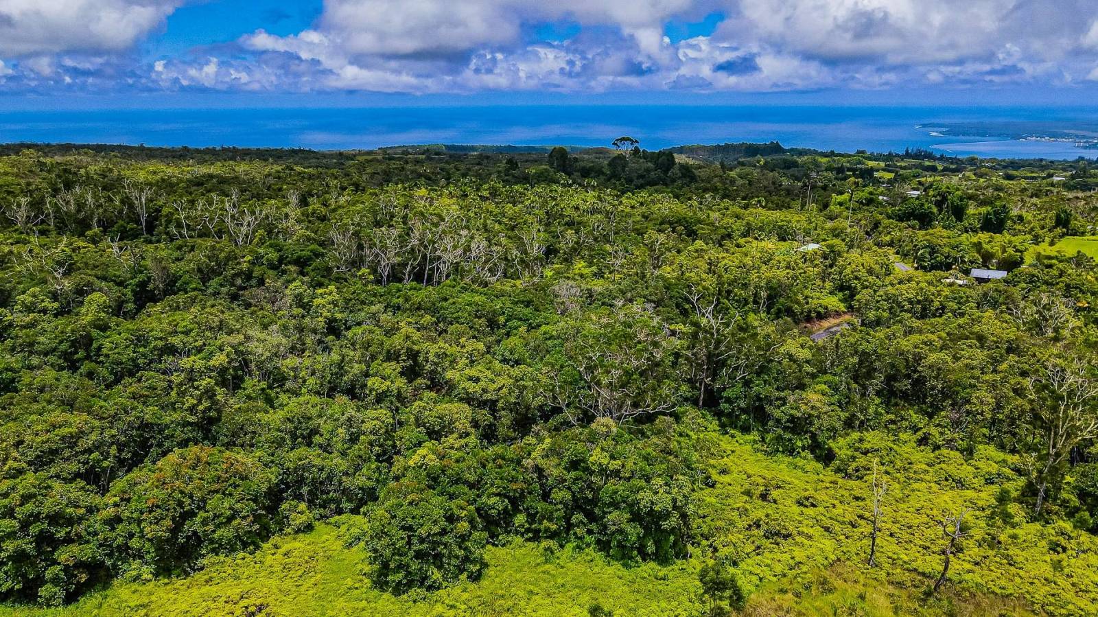 `Ohana Means Family...? Hawaii Real Estate Market & Trends Hawaii Life