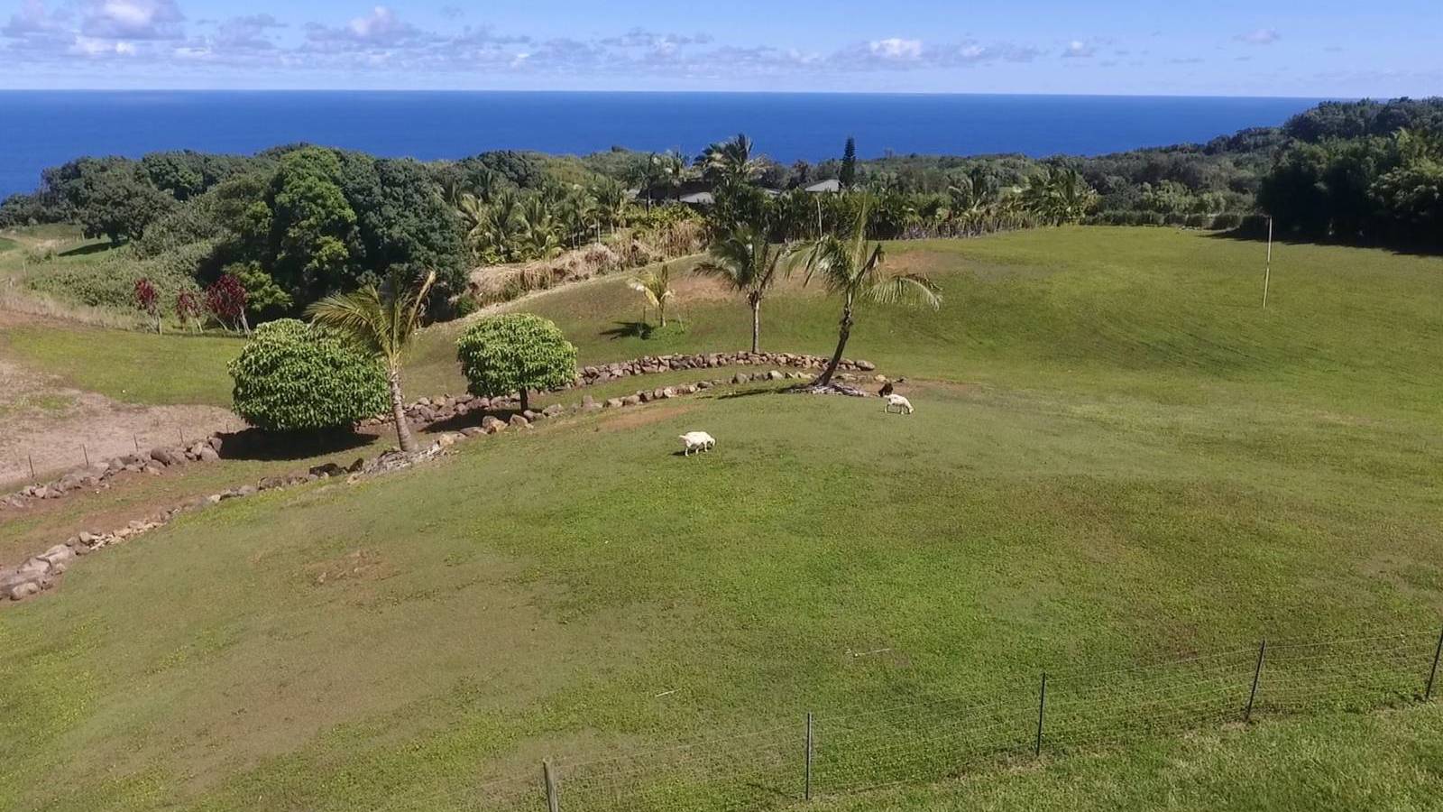 create-your-own-sustainable-estate-on-maui-s-north-shore-in-kailua