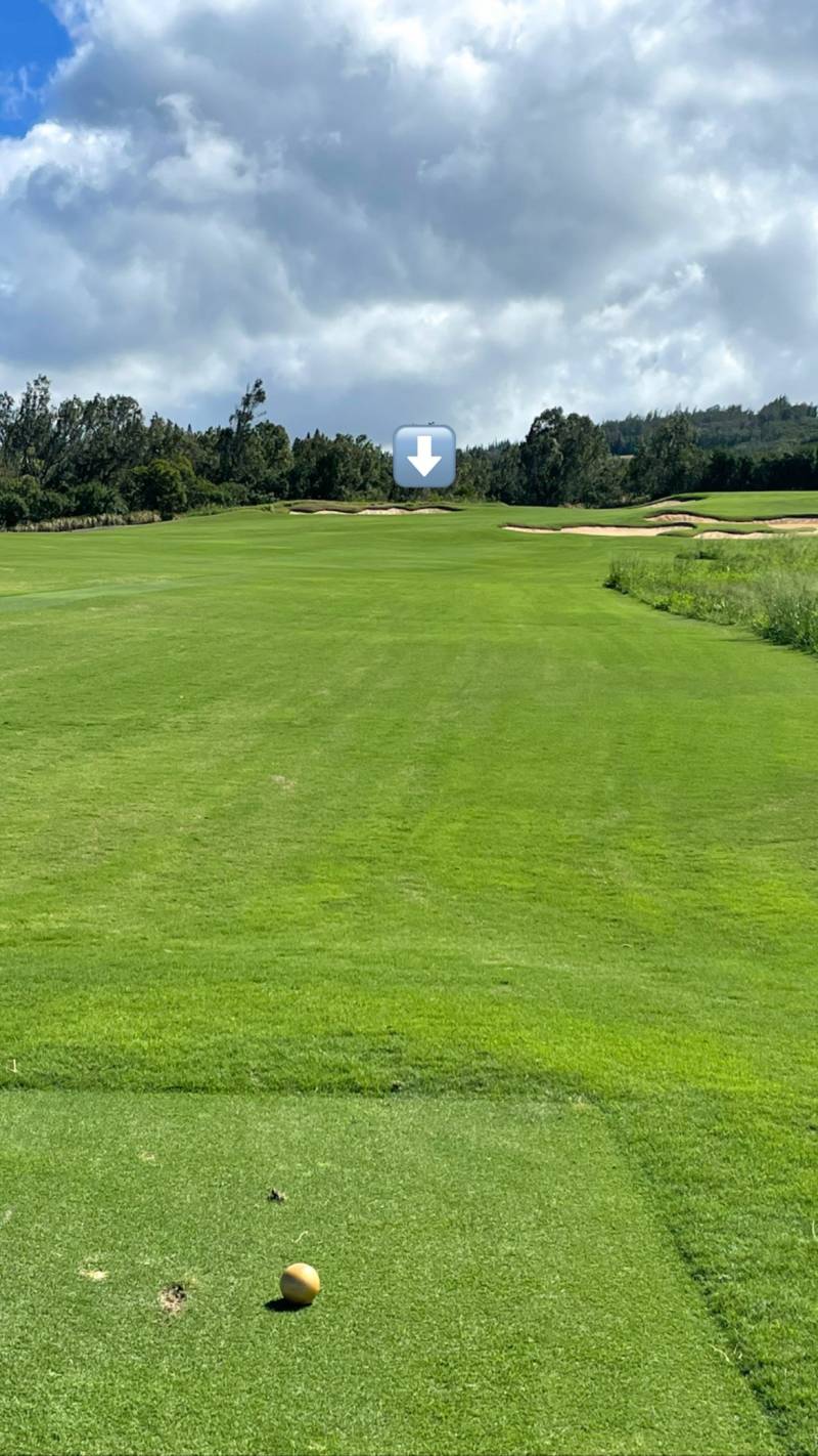 hole 14 at the plantation course