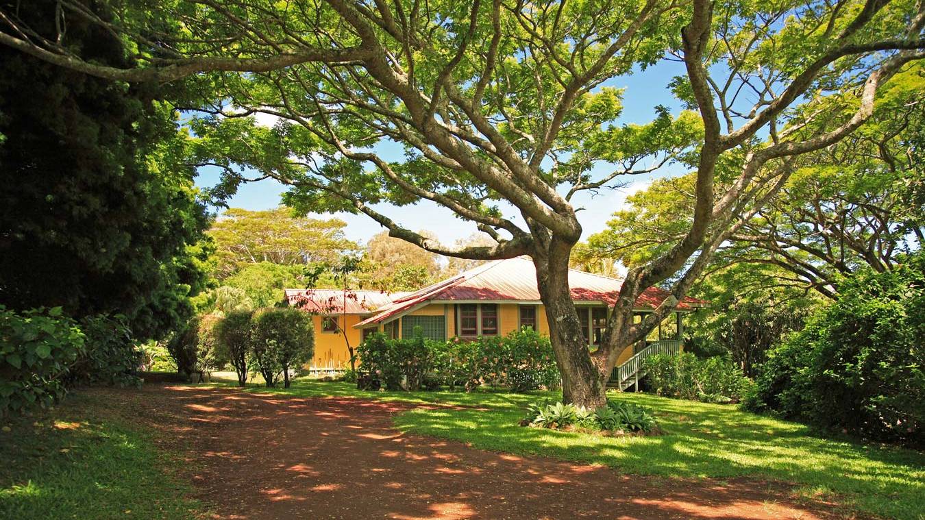 Plantation Era Homes for Sale in Hawi Hawaii Real Estate Market