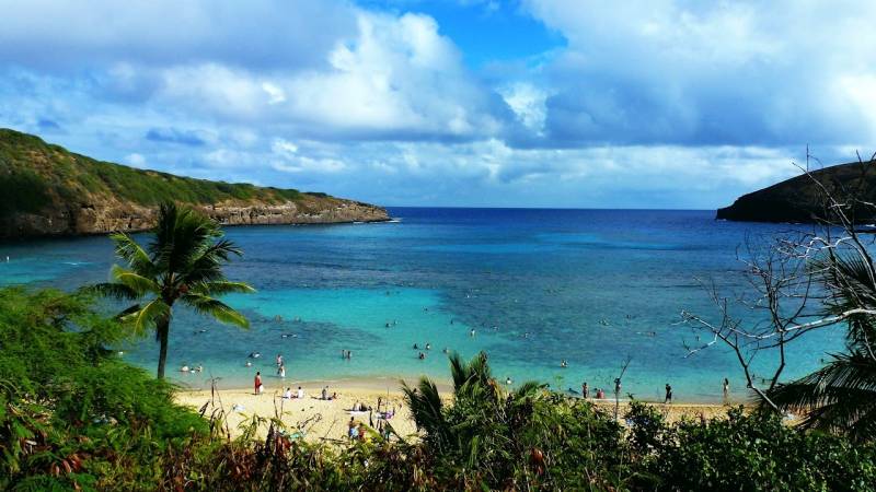 people enjoy beautiful hawaii beach