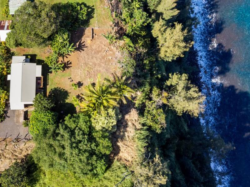 aerial view of big island home for sale