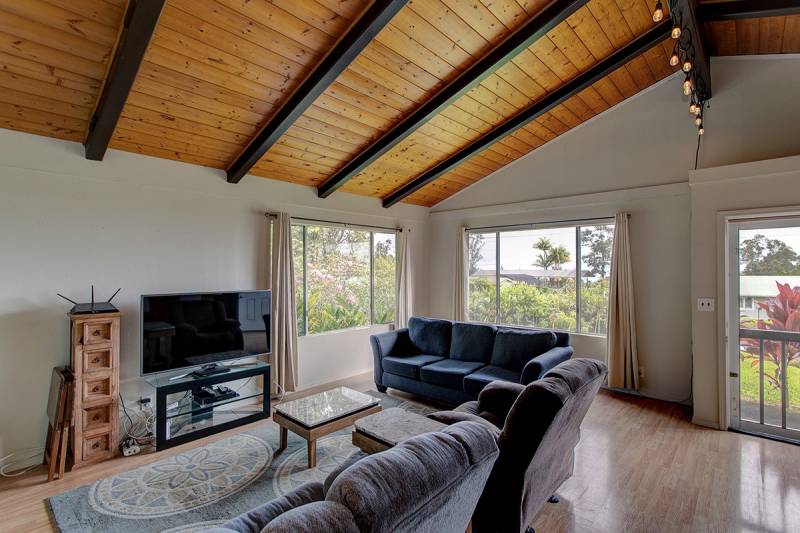 pine vaulted ceilings in living room