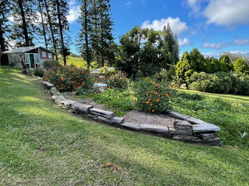 Gardens and cottage on acreage in Hawi