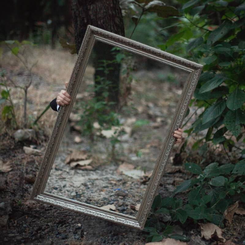 mirror in the forest