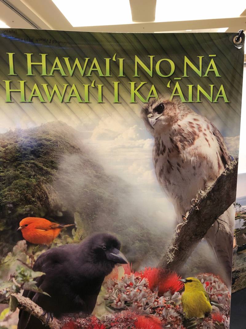 I hawaii no na hawaiʻi i ka aina