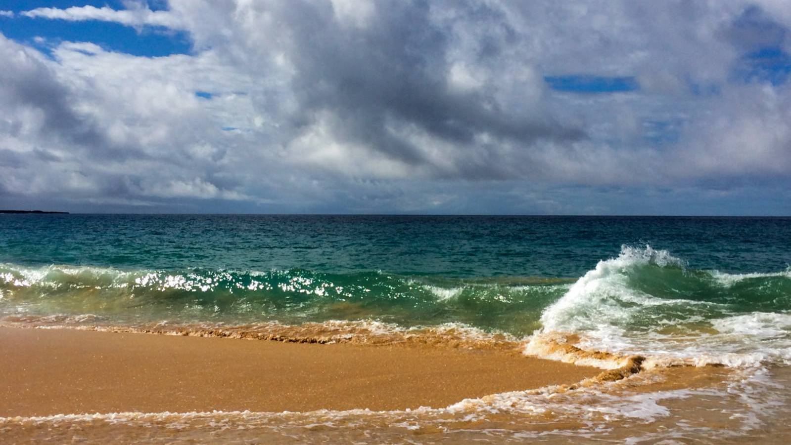 Maalaea Maui’s Hidden Treasure Hawaii Real Estate Market & Trends