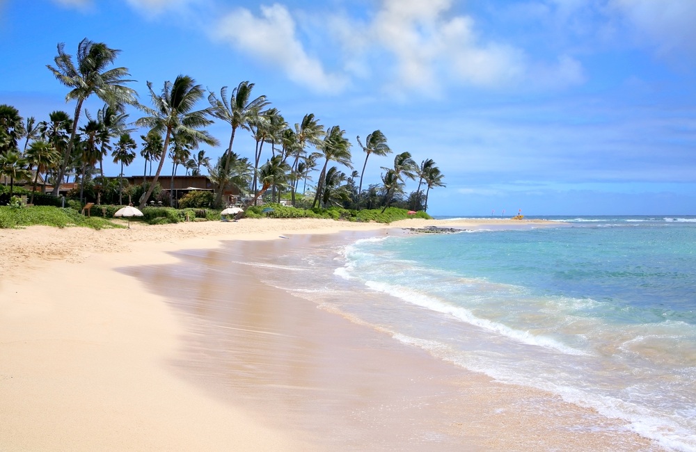 Poipu Beach Estates Large Undeveloped Lots in Poipu’s Visitor