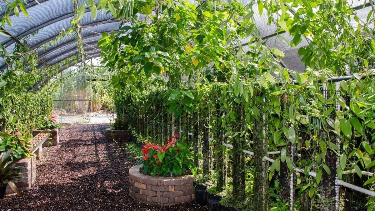 The Vanillerie Agricultural and AgriTourism Property For Sale in Kona