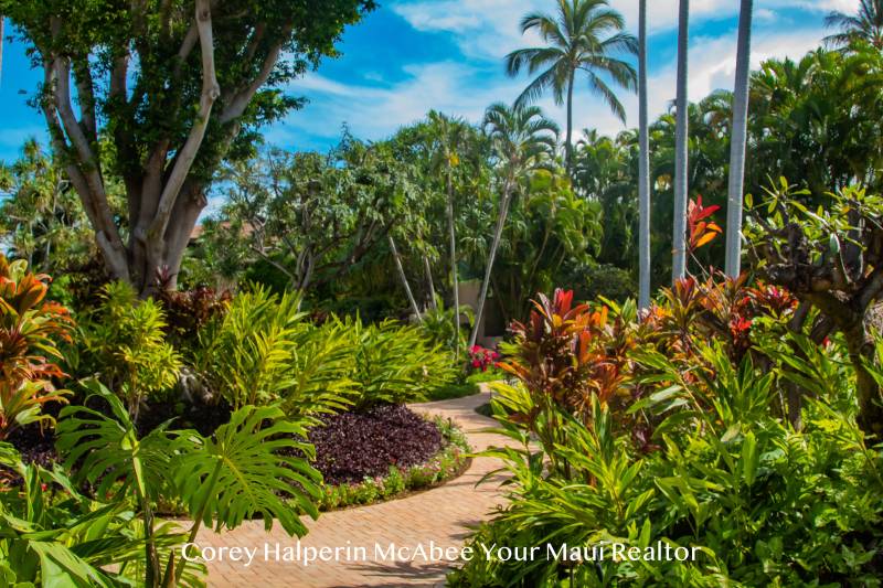 tropical landscaping at makena surf luxury condos