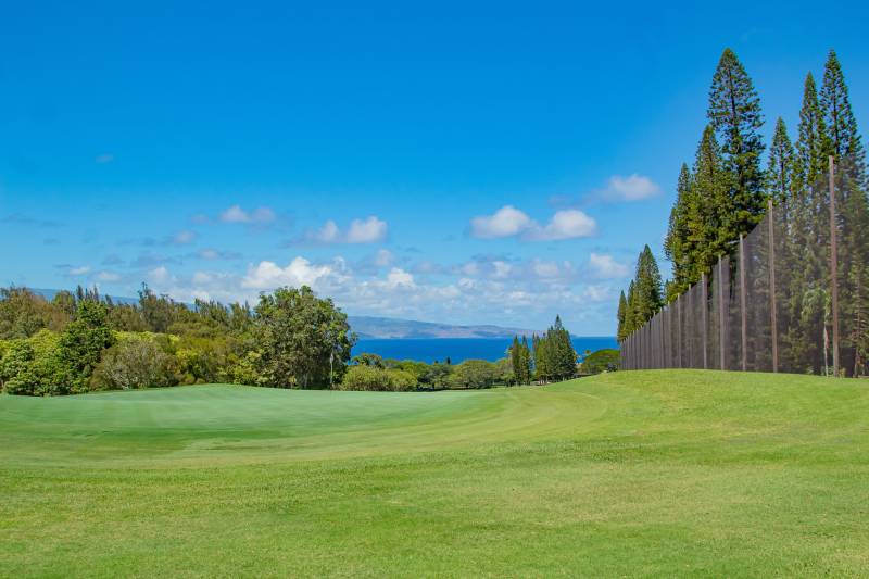 green fairway in kapalua maui golf course