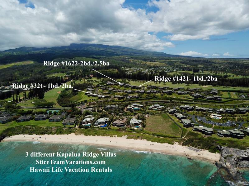 hawaii life vacation rentals on maui