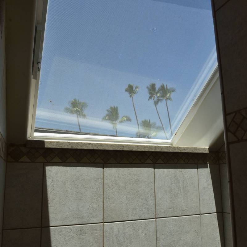 shower skylight