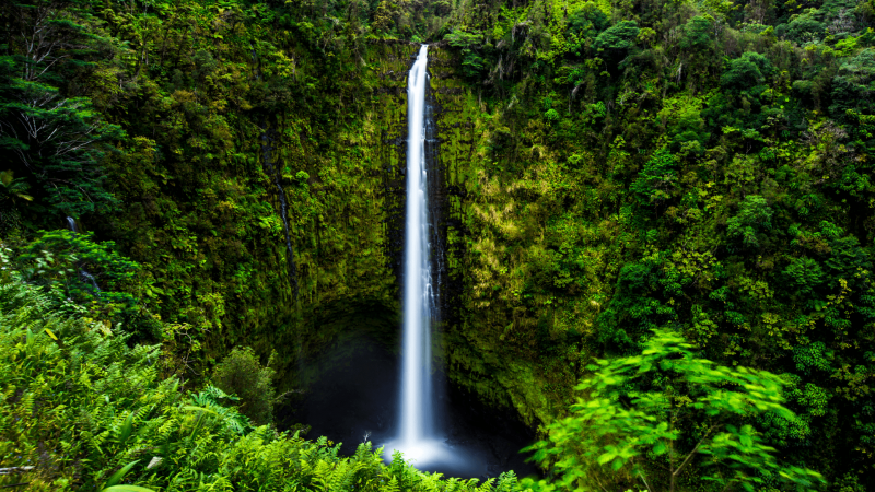 waterfall in hilo big island