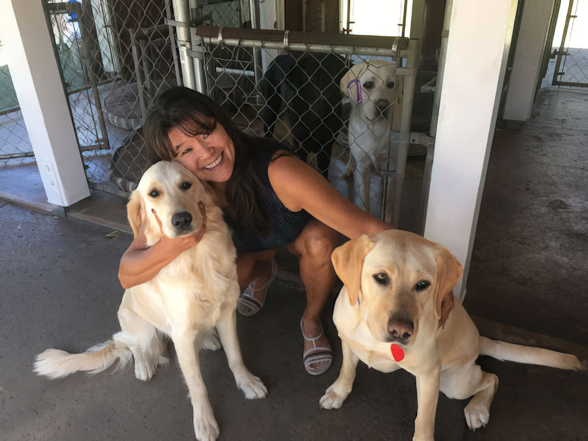 woman hugging to golden dogs