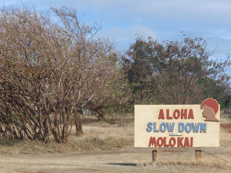 sign says aloha slow down molokai
