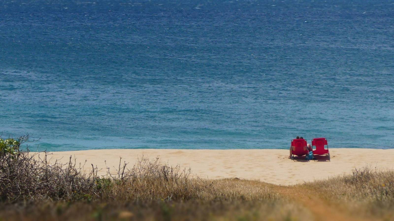 Looking for a BeachyChic Condo on a White Sandy Beach for Under