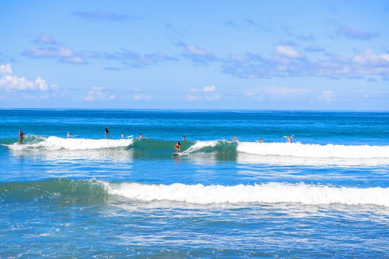 surfers on maui ocean