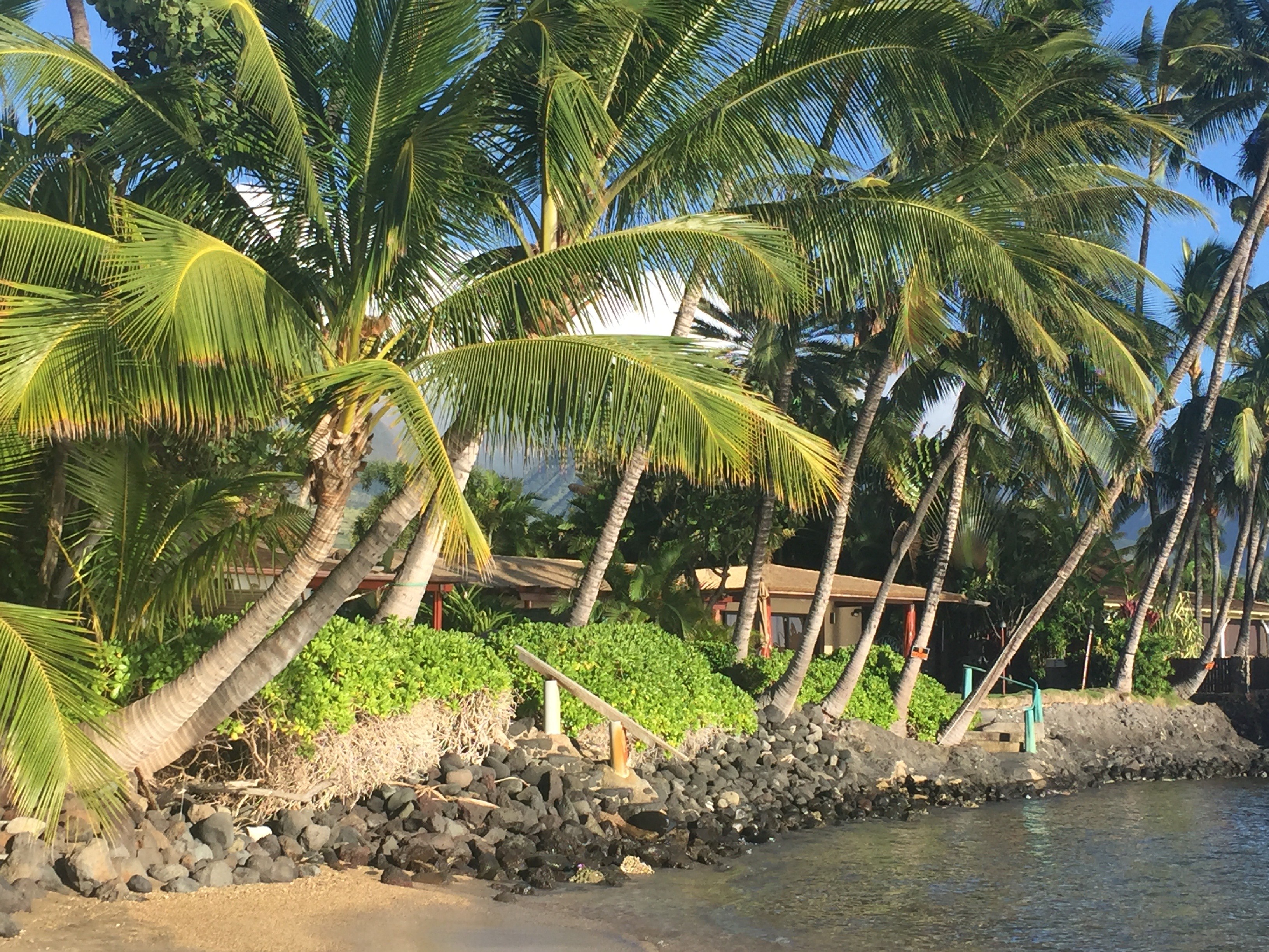 Maui Oceanfront Homes