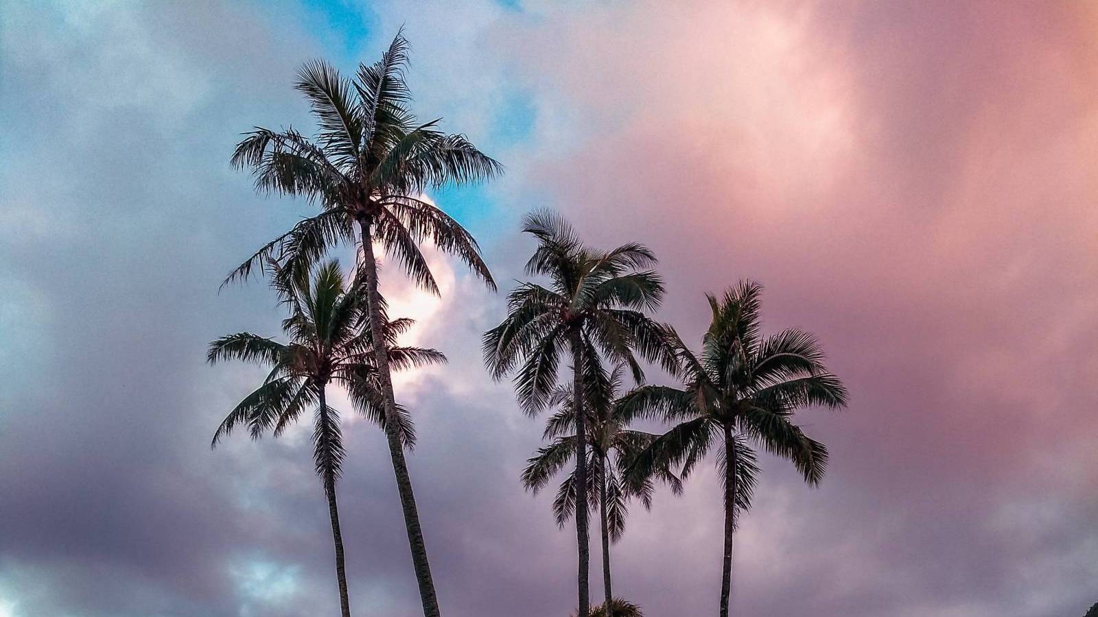 Coming Soon New Townhome Listing in Hawaii Kai Hawaii Real Estate