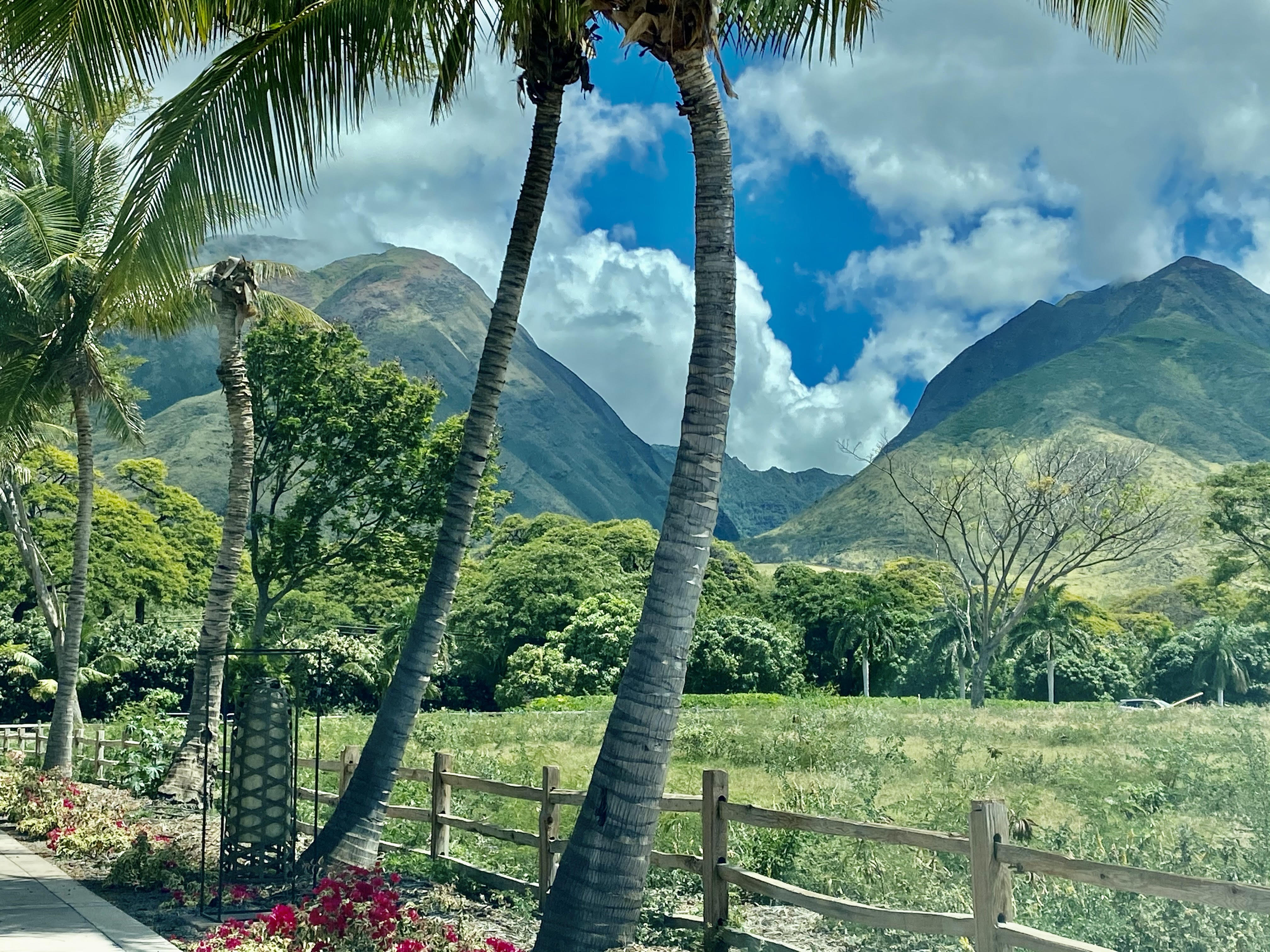 Launiupoko Maui