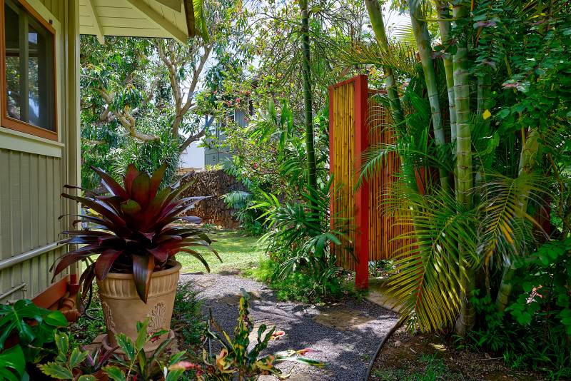 tropical landscaped pathway in the backyard