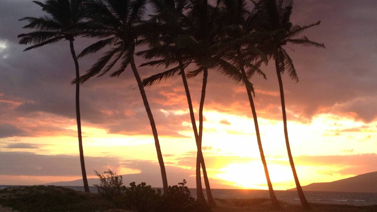 Maui Weekly Events What's Happening July 29, 2022 Hawaii Real