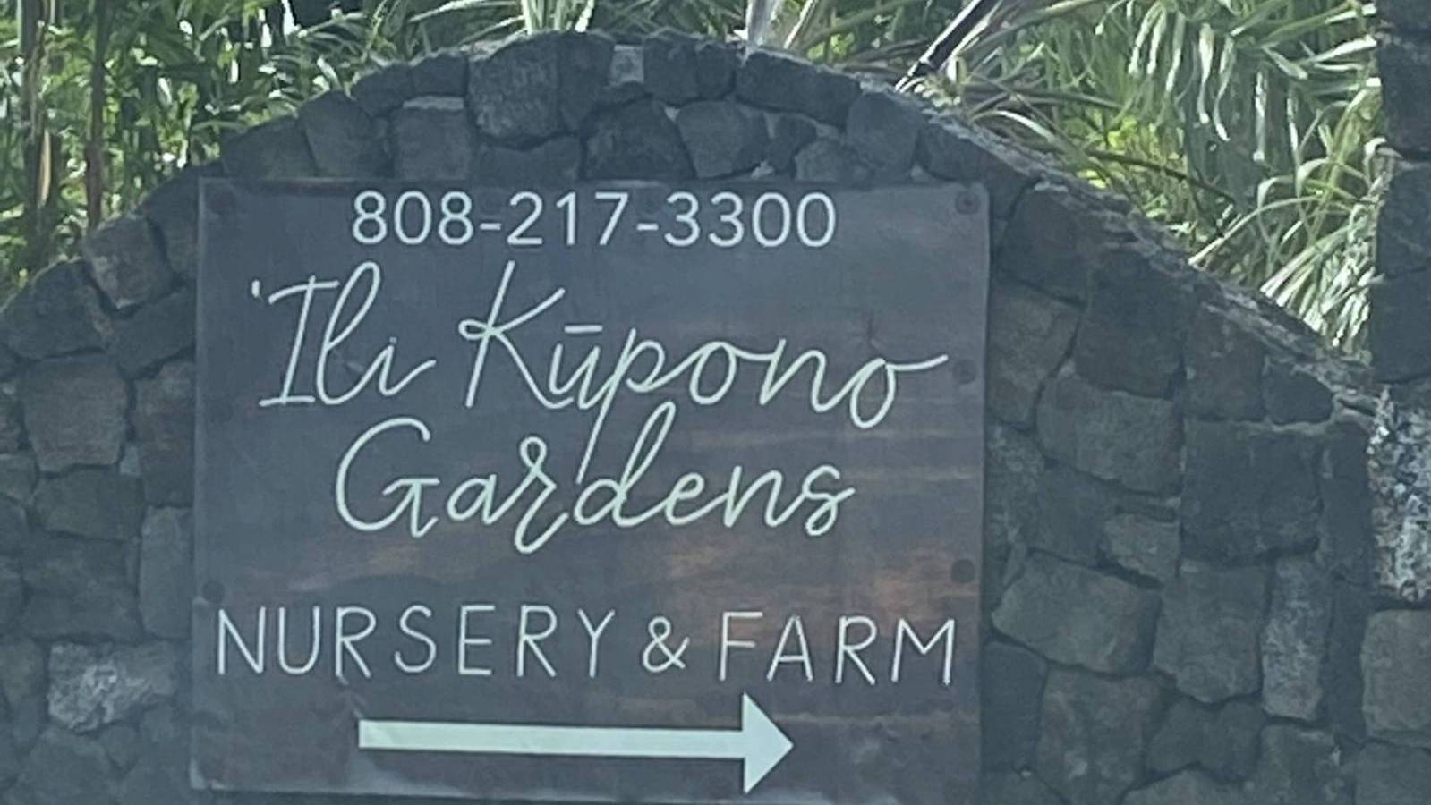 KailuaKona Hidden Gem Ili Kūpono Gardens Nursery & Farm Hawaii Real