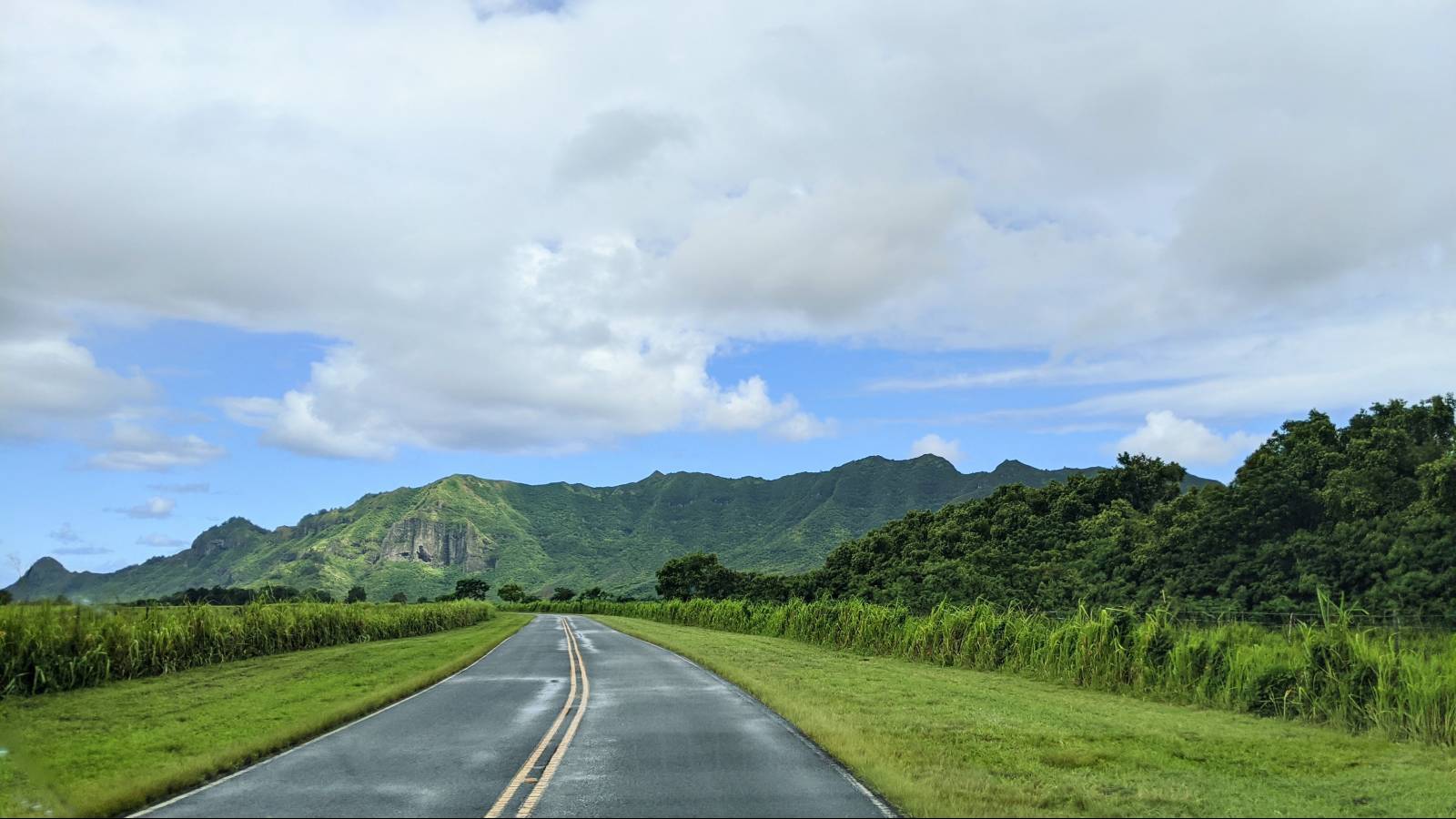 Buying A Home On Kauai Real Estate Update June 2022 Hawaii Real   Kevin Doran YLnC1Y07IKM Unsplash 2 E1657733499383 