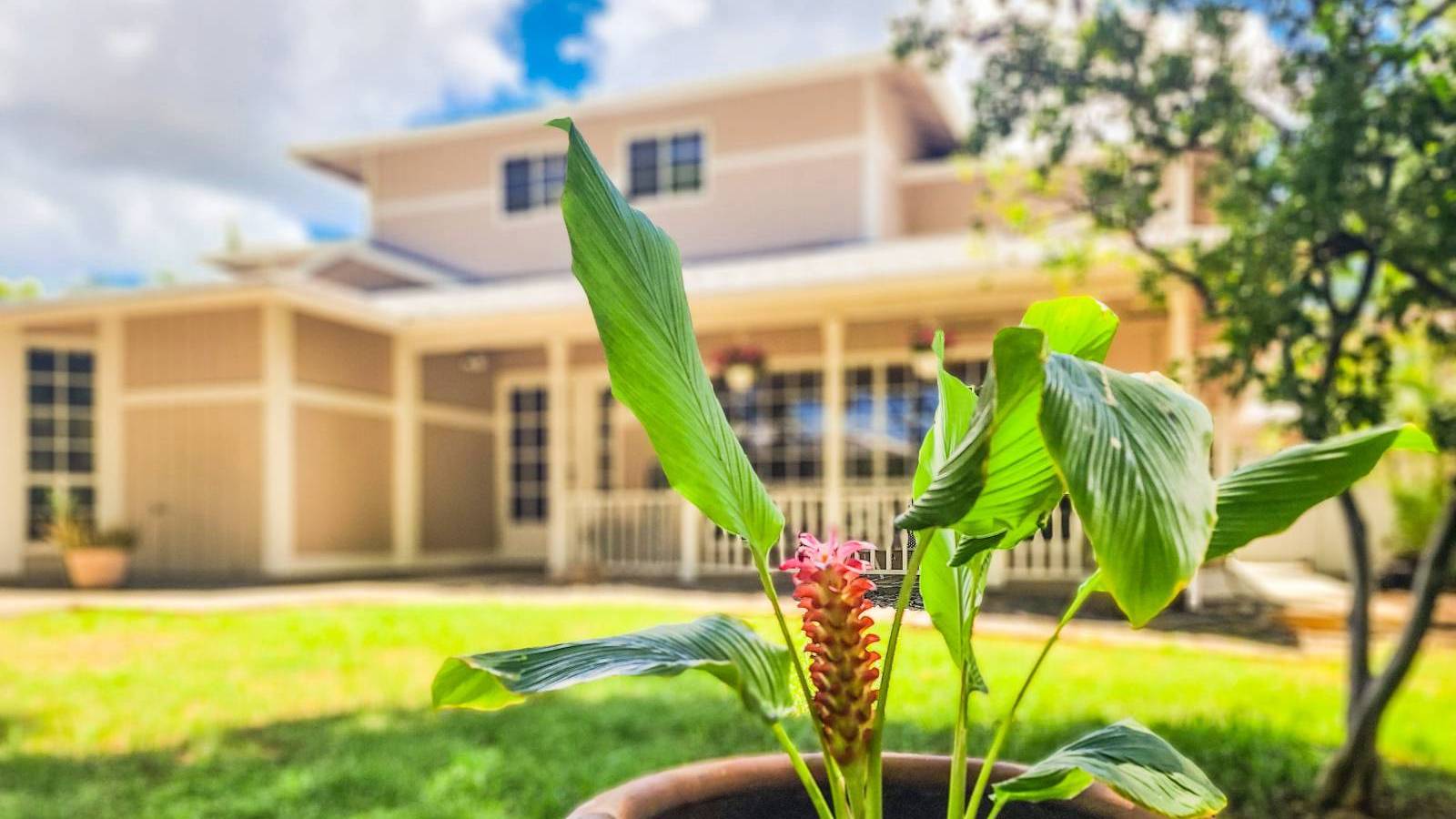 Homes For Sale in Hawaii Ewa Beach Homes by Fawn