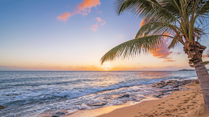 big island hawaii beach at sunset