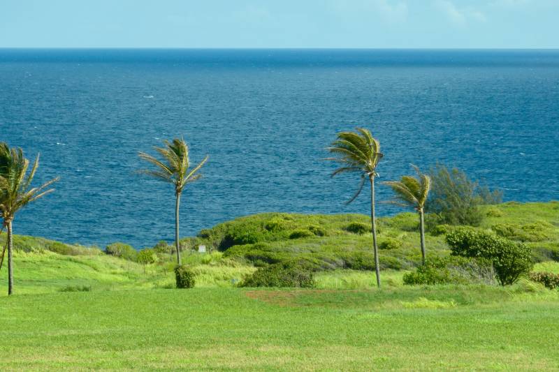 ocean view from peahi farms on north shore of maui