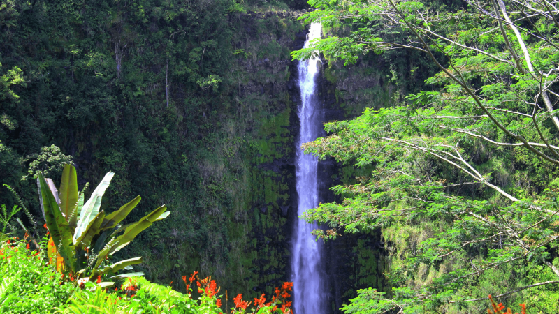 waterfall on hawaii island