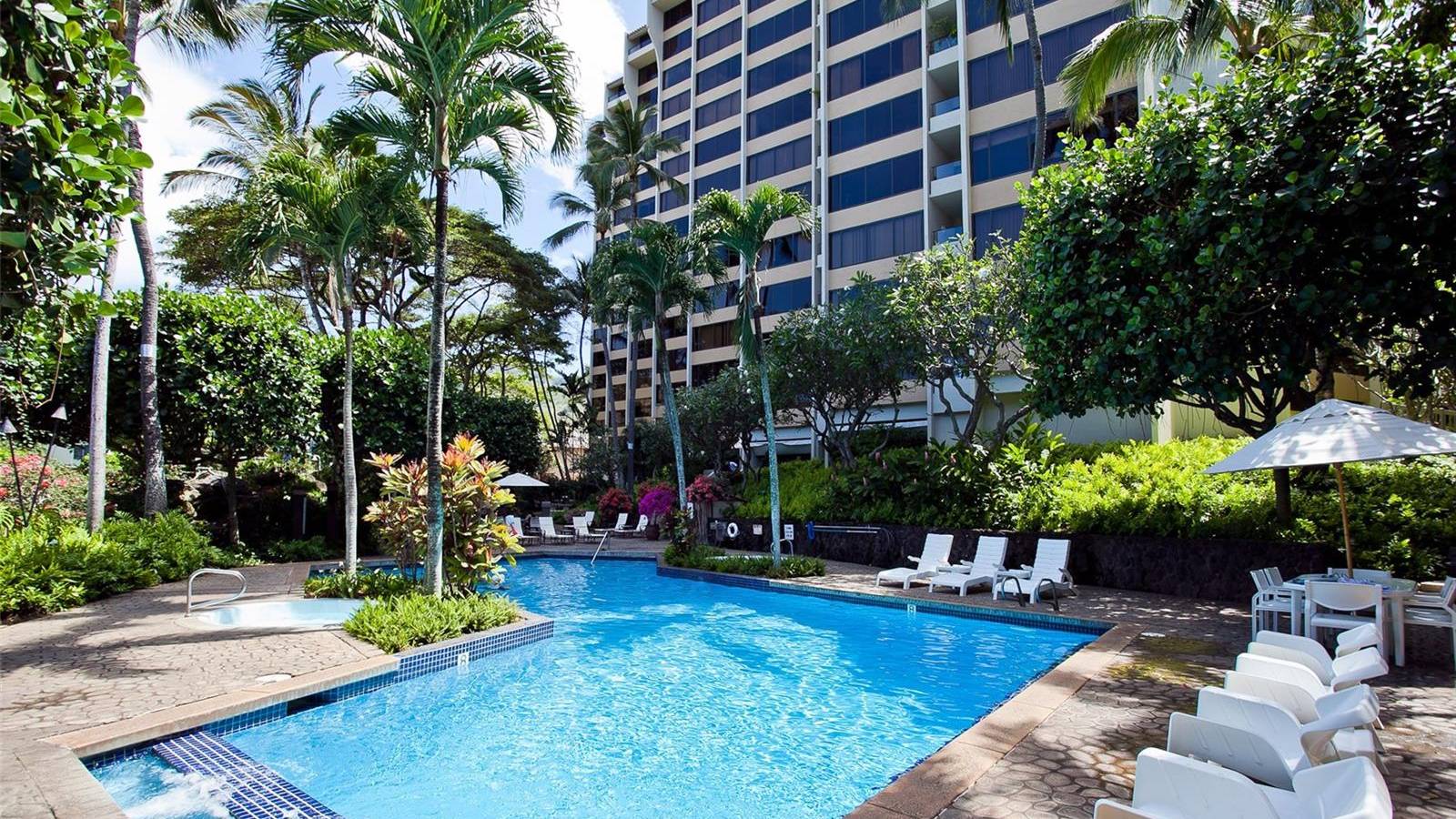 commodore pool