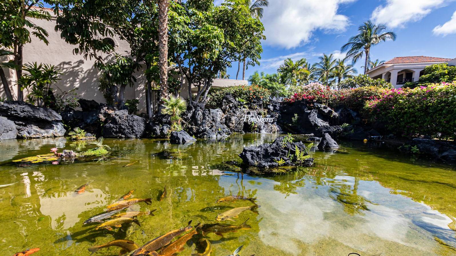 ShortTerm Rentals on the Big Island Waikoloa Village or Waikoloa