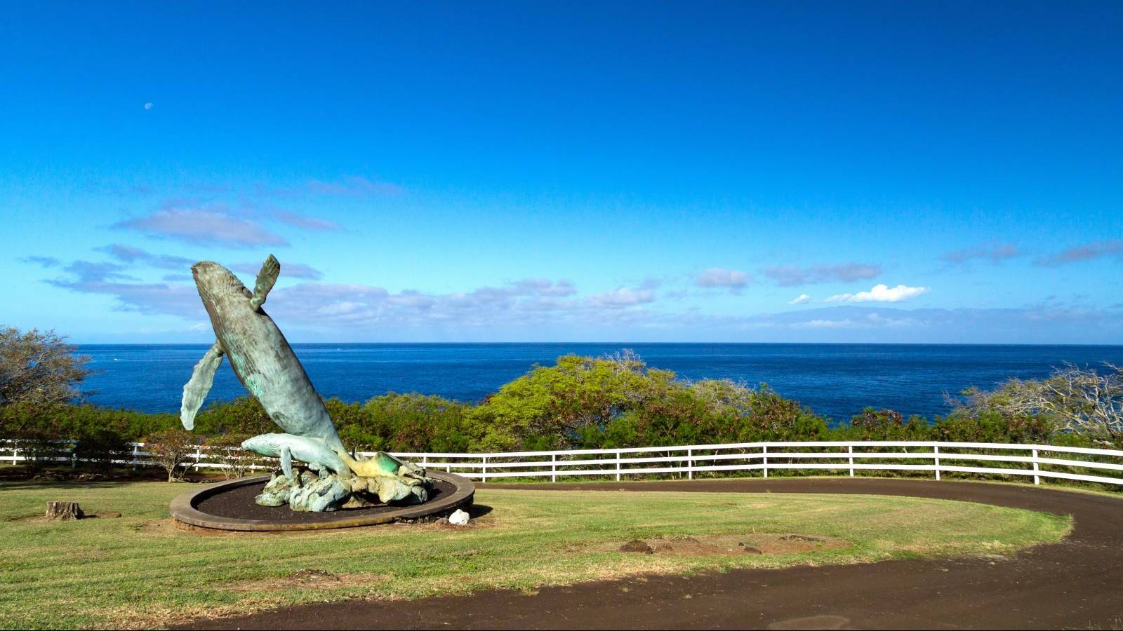 Luxury Homes on Acreage For Sale in Hawi North Kohala Hawaii Real Estate Market & Trends