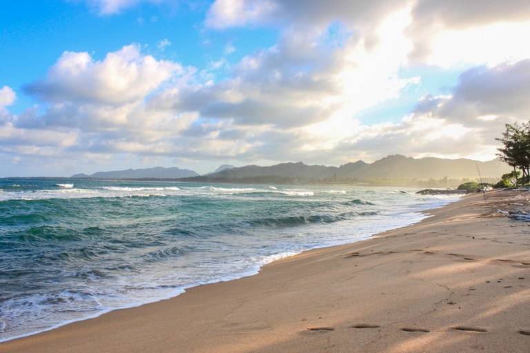 A Highly Successful Vacation Rental on the Beach in Kapaa Hawaii Real