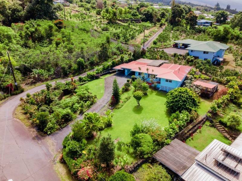 aerial view of big island hawaii home surrounded by green tropical plants