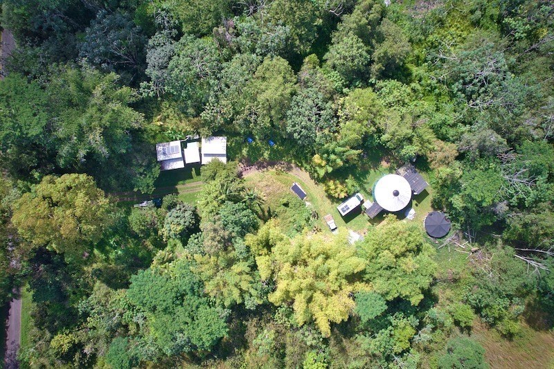 Live Off the Land in this Beautiful Jungle Setting Hawaii Real Estate Market & Trends Hawaii